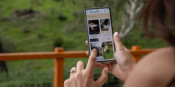 How to Collect Guest Photos at Your Wedding: The Complete 2026 Guide